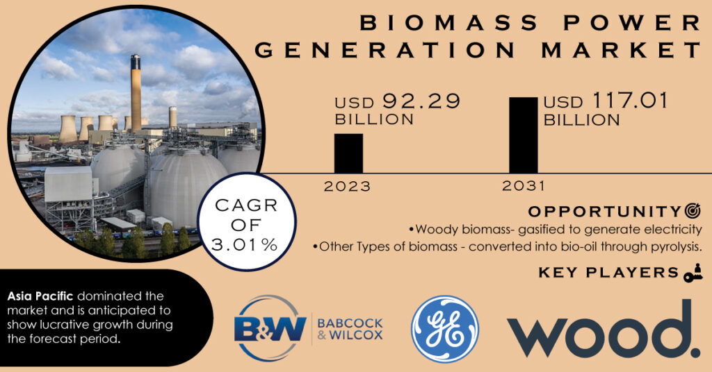 Biomass Power Generation Market 