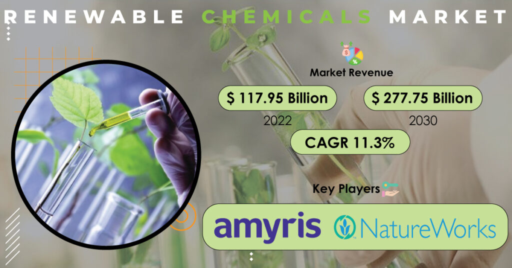 Renewable Chemicals Market 
