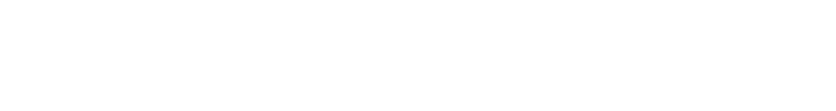 The Daily Iberian Logo